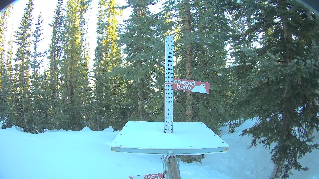 Webcam Crested Butte: Snow stake