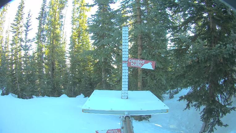 Webcam Crested Butte: Snow stake