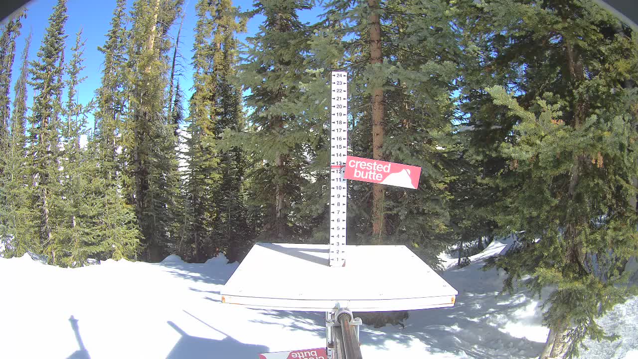 Webcam Crested Butte: Snow stake