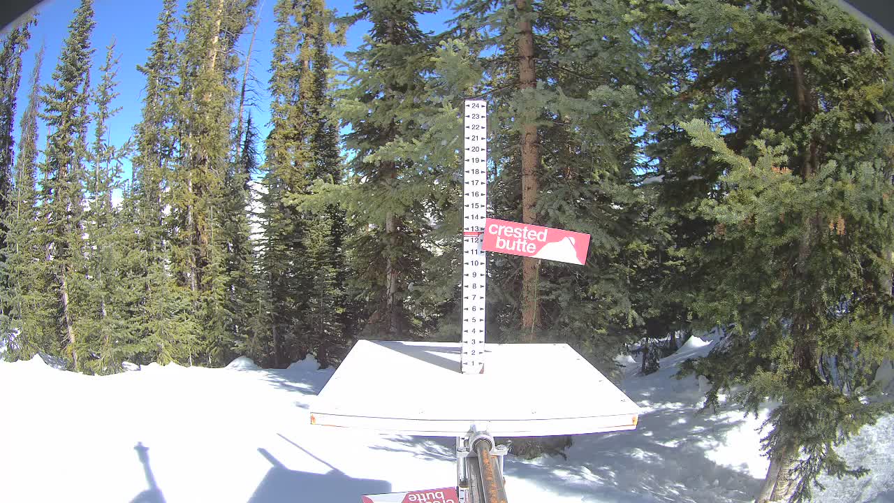 Webcam Crested Butte: Snow stake