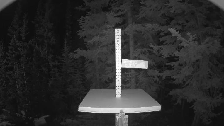Webcam Crested Butte: Snow stake