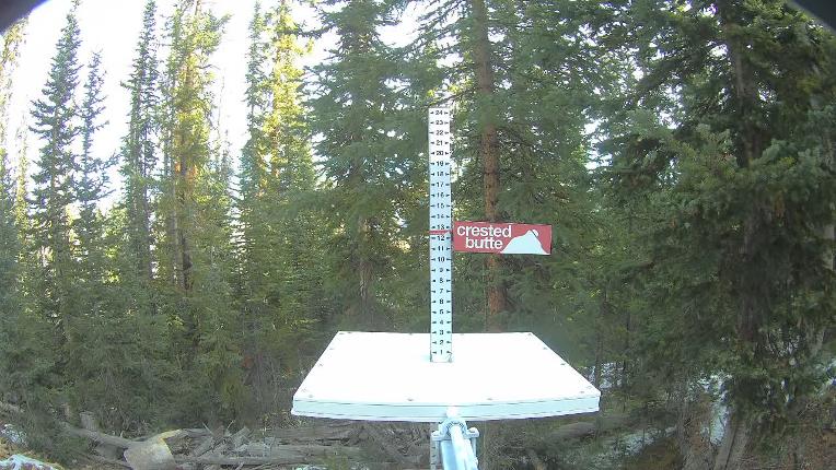 Webcam Crested Butte: Snow stake