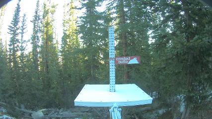 Crested Butte: Snow stake (skicb.com)