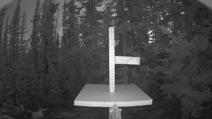 Crested Butte webcam