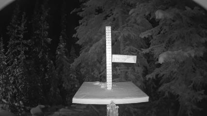 Crested Butte webcam