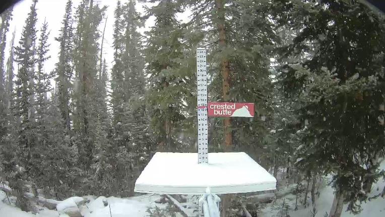 Webcam Crested Butte: Snow stake