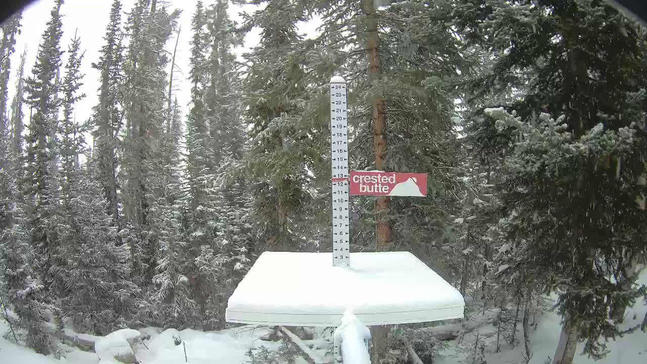 Webcam Crested Butte: Snow stake