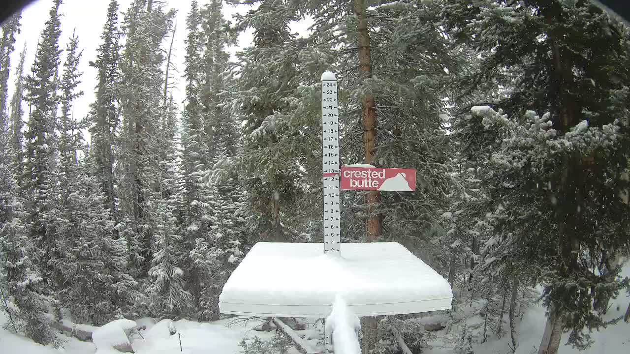 Webcam Crested Butte: Snow stake