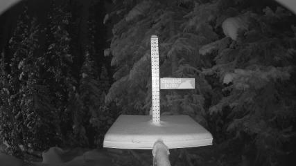Crested Butte: Snow stake (skicb.com)