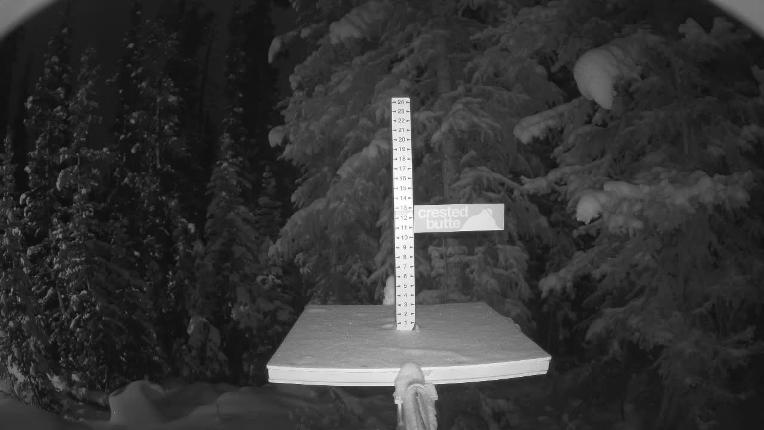 Webcam Crested Butte: Snow stake
