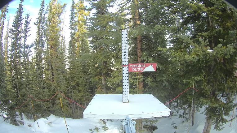 Webcam Crested Butte: Snow stake