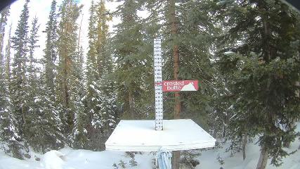 Crested Butte webcam