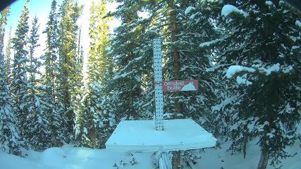 Crested Butte webcam