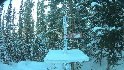 Crested Butte webcam