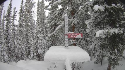 Crested Butte: Snow stake (skicb.com)