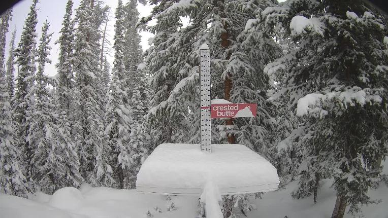 Webcam Crested Butte: Snow stake