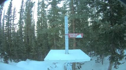 Crested Butte webcam