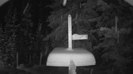 Crested Butte: Snow stake (skicb.com)