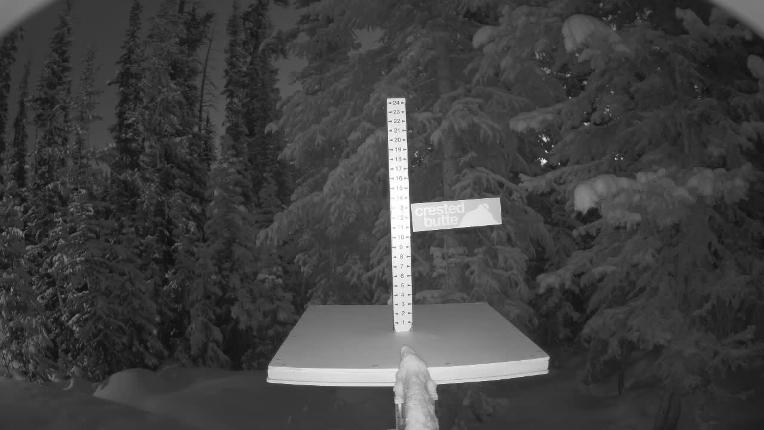 Webcam Crested Butte: Snow stake