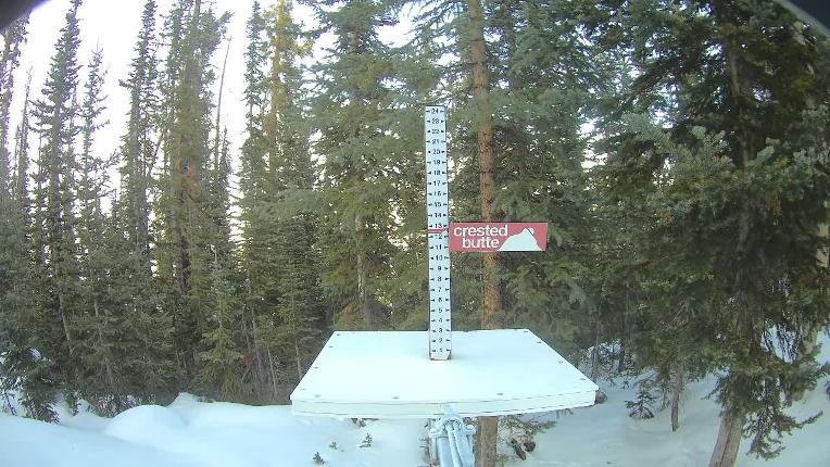 Webcam Crested Butte: Snow stake
