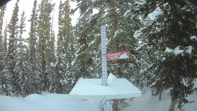 Webcam Crested Butte: Snow stake