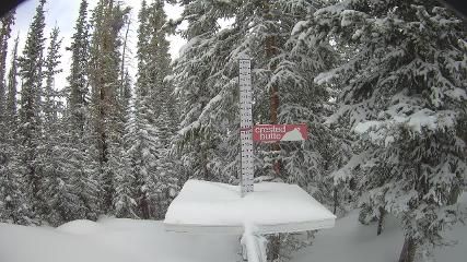 Crested Butte: Snow stake (skicb.com)