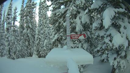 Crested Butte: Snow stake (skicb.com)