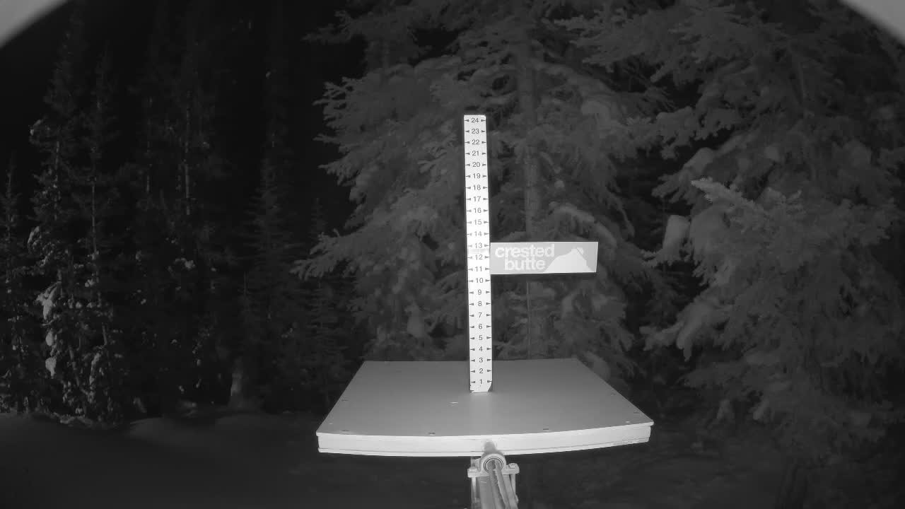 Webcam Crested Butte: Snow stake