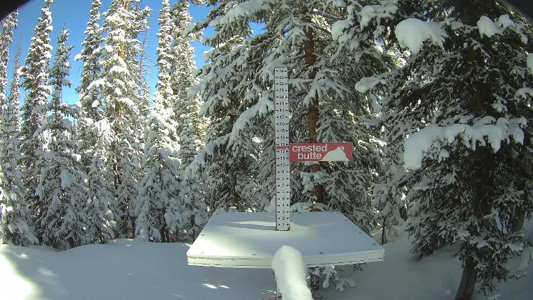 Webcam Crested Butte: Snow stake