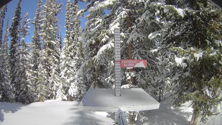 Webcam Crested Butte: Snow stake
