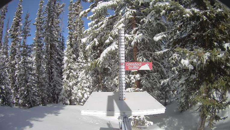 Webcam Crested Butte: Snow stake