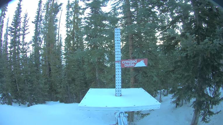 Webcam Crested Butte: Snow stake