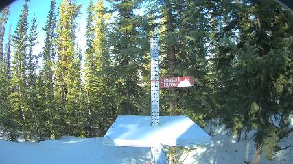 Crested Butte: Snow stake (skicb.com)