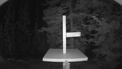 Crested Butte webcam