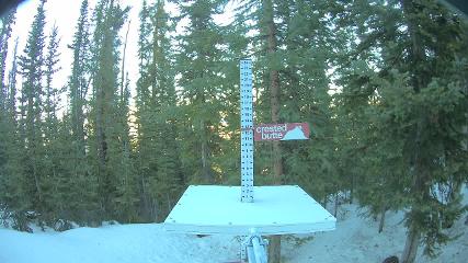 Crested Butte webcam
