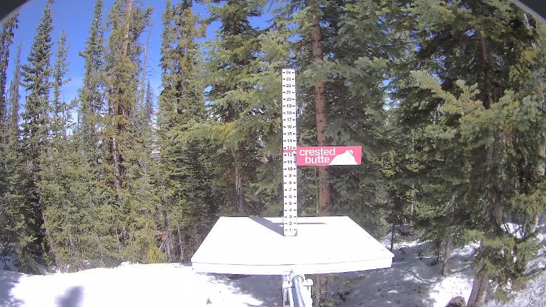 Webcam Crested Butte: Snow stake