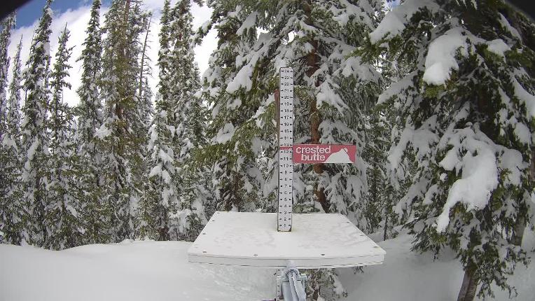 Webcam Crested Butte: Snow stake