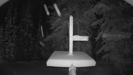 Crested Butte: Snow stake (skicb.com)