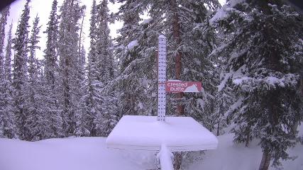 Crested Butte: Snow stake (skicb.com)