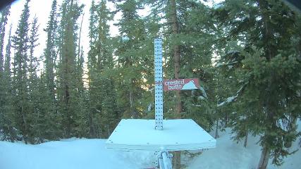 Crested Butte: Snow stake (skicb.com)