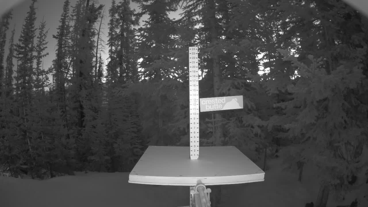 Webcam Crested Butte: Snow stake