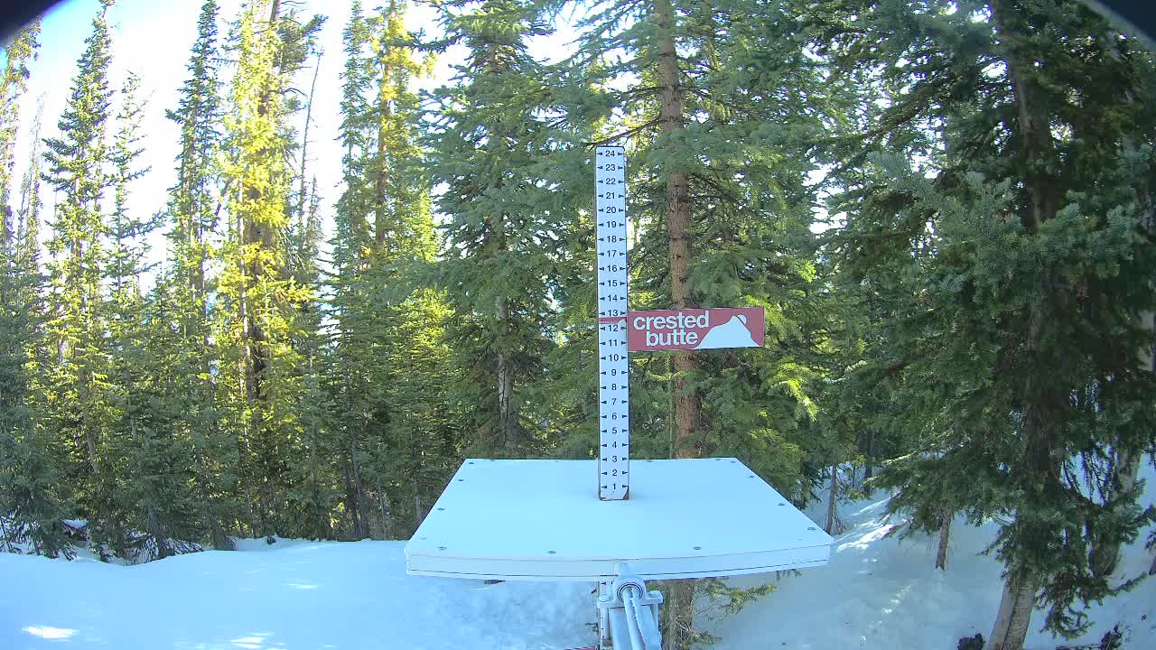 Webcam Crested Butte: Snow stake