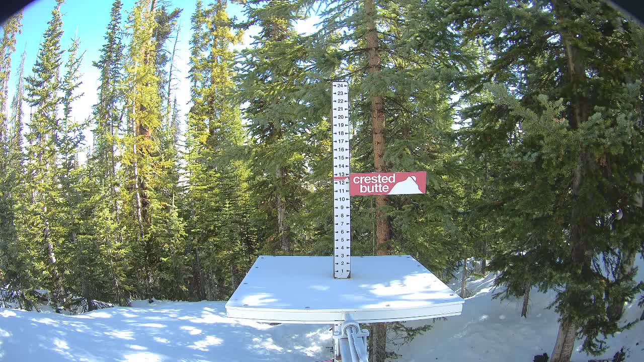 Webcam Crested Butte: Snow stake