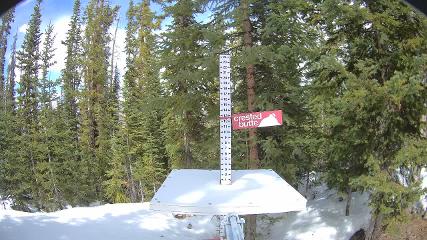 Crested Butte: Snow stake (skicb.com)