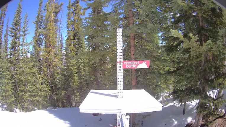 Webcam Crested Butte: Snow stake
