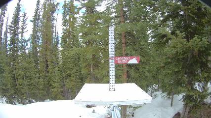 Crested Butte: Snow stake (skicb.com)