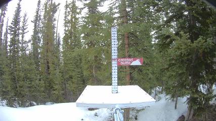 Crested Butte: Snow stake (skicb.com)