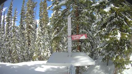 Crested Butte: Snow stake (skicb.com)