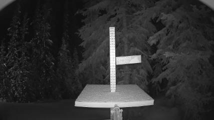 Crested Butte: Snow stake (skicb.com)