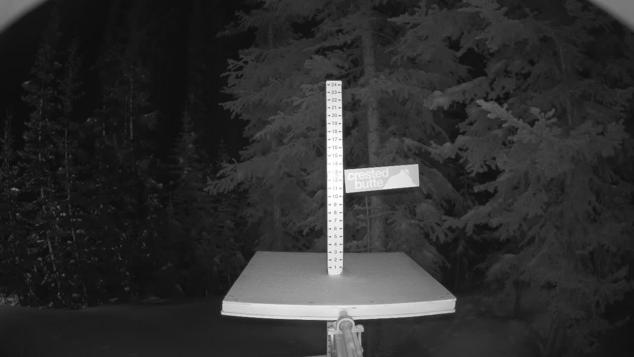 Webcam Crested Butte: Snow stake